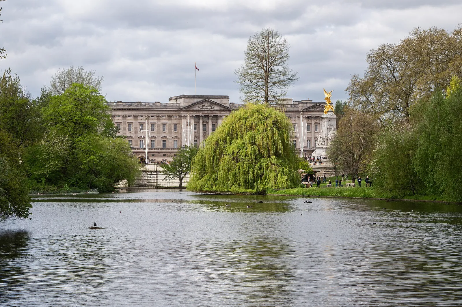 Buckingham Palace seen across the lake in St James's Park