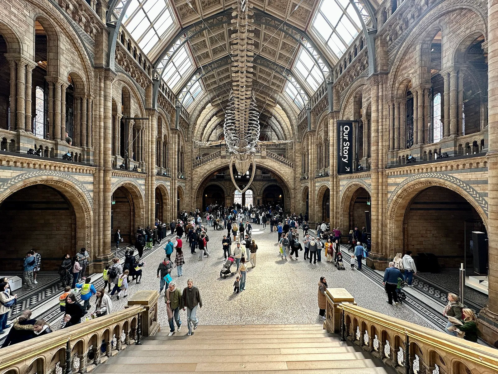 Hintze Hall inside the Natural History Museum