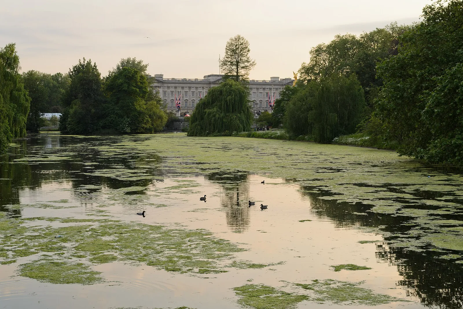 St James's Park lake in the evening light